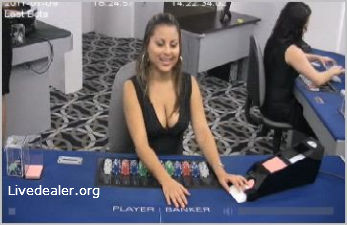 ViGbaccarattable ViG new baccarat table