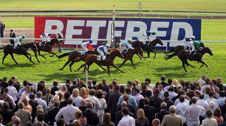 betfredbuystote