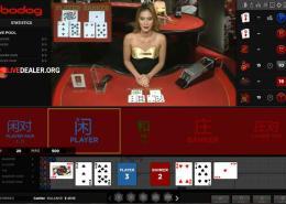 Bodog live baccarat