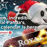 royalpanda advent