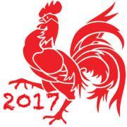 2017rooster