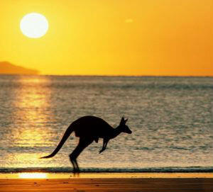 aust