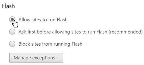 Googleflash5
