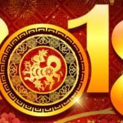 2018dog