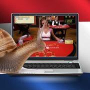 netherlands remote gambling