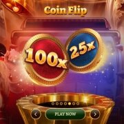 Crazy Coin Flip coin flip