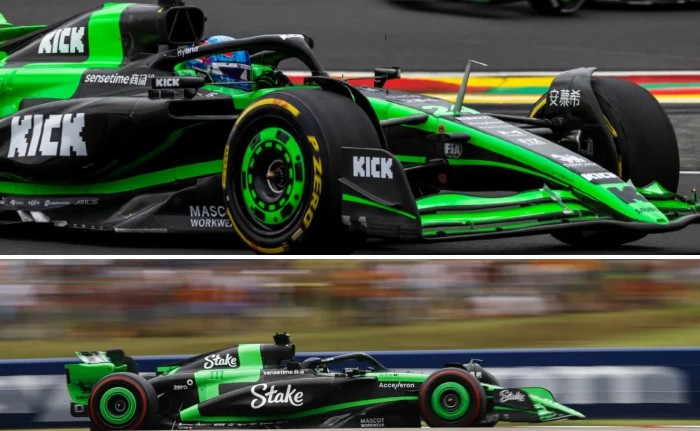 Interface de Stake F1