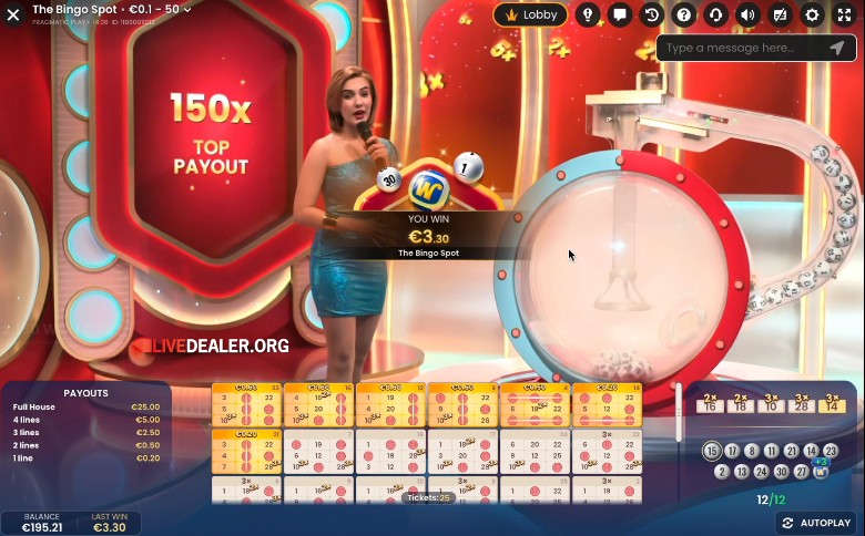 Bingo Spot win